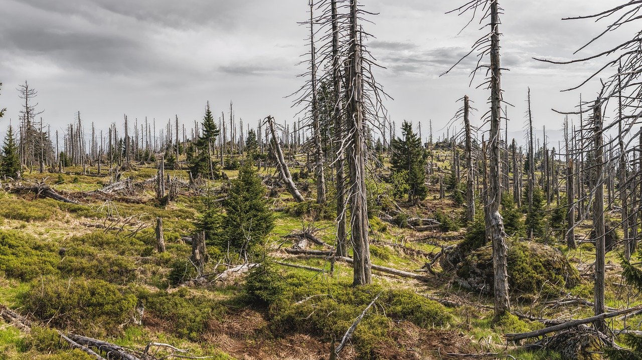 Les principales causes de la destruction de la nature