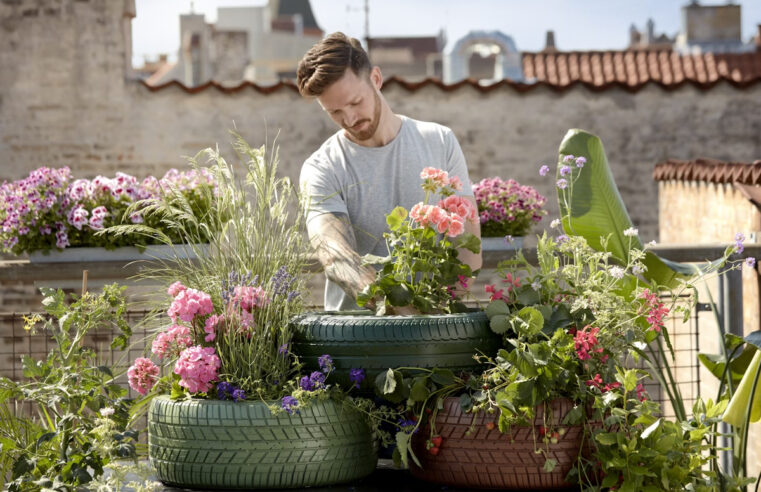 jardin idéal