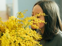 touche d'éclat dans votre jardin