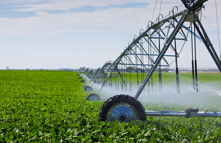 Agriculture de précision : quelles applications pour l’irrigation ?