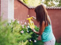 woman spraying with aphid repellent liquid on flowers