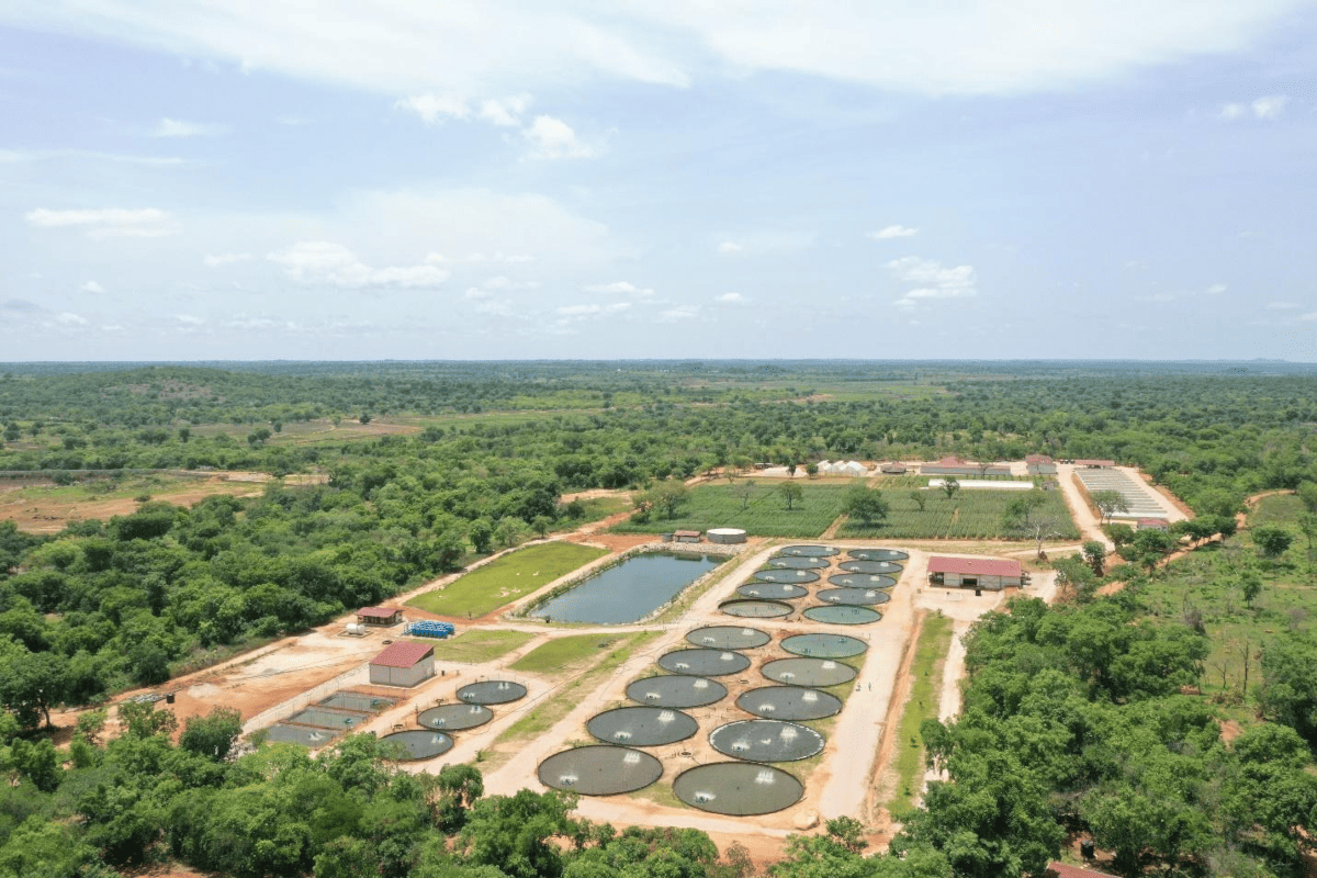 ASTC à Guiembe