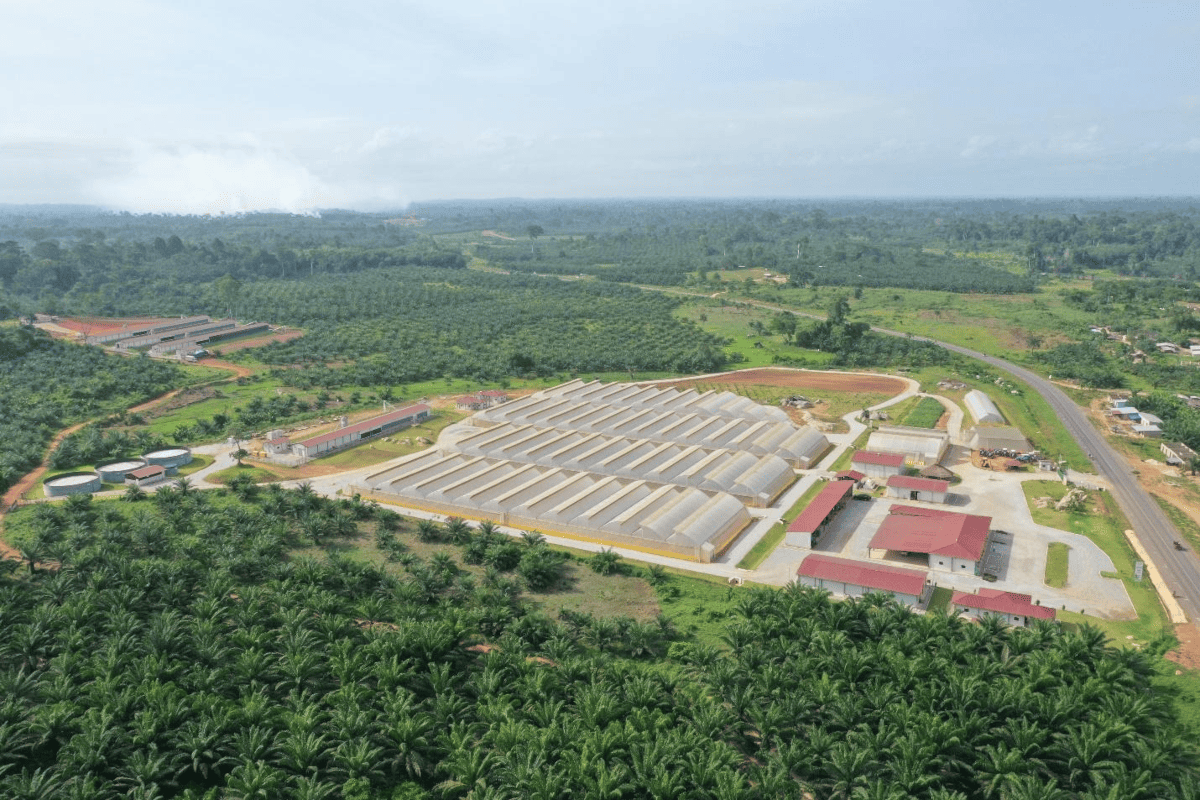 Les Centres Agricoles de Services et Formation (ASTC) en Côte d’Ivoire : Modèle de développement d’une agriculture durable