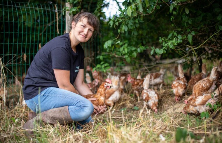 aviculture