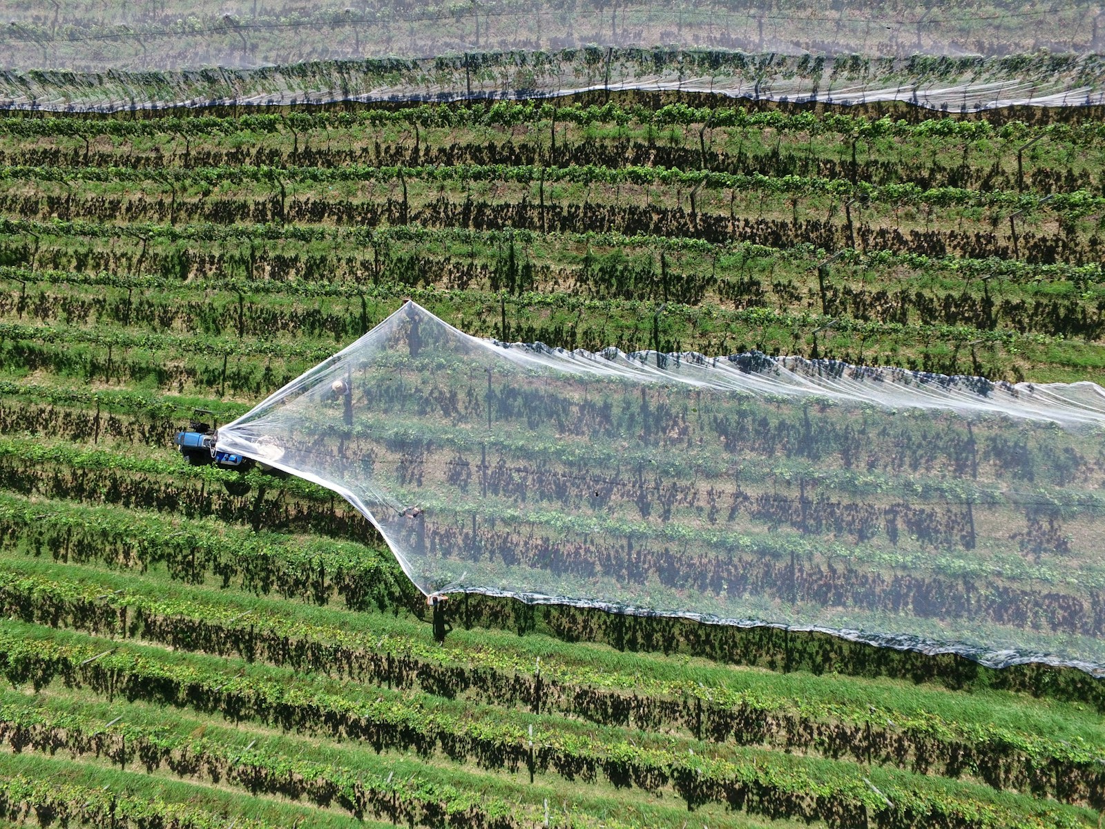 Que faut-il savoir sur les bâches agricoles ?