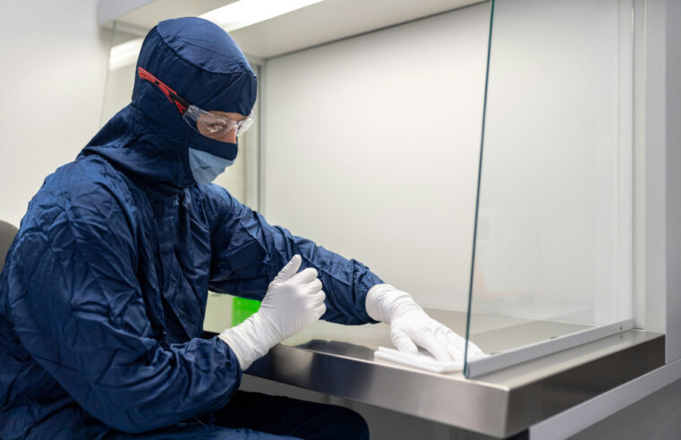 désinsectisation paris