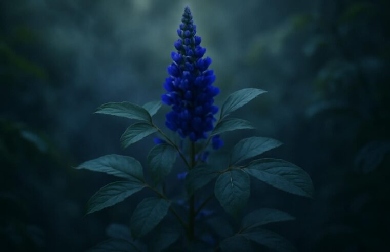 Découvrez les secrets fascinants de la plante indigo enshrouded