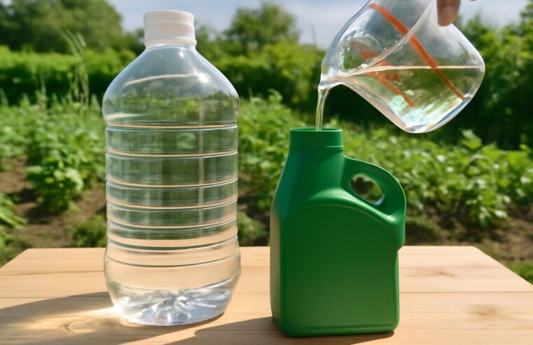 Dosage du Roundup pour 5 litres d&rsquo;eau : les meilleures pratiques à connaître