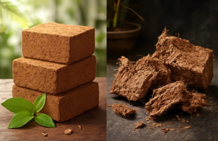 Tout ce que vous devez savoir sur la fibre de coco : : avantages et inconvénients