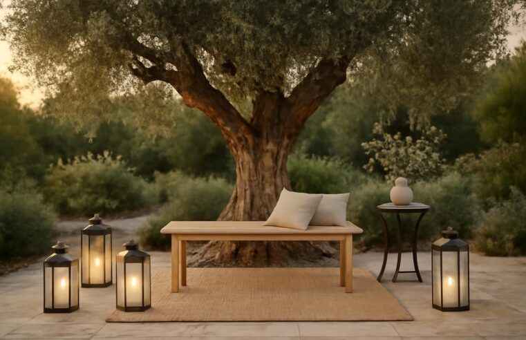 découvrez comment sublimer votre olivier dans le jardin grâce à des accessoires élégants et adaptés, pour un espace extérieur harmonieux et esthétique.