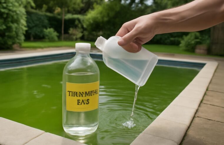 découvrez pourquoi l'acide chlorhydrique est idéal pour traiter une piscine verte et équilibrer efficacement le ph de votre eau, assurant ainsi une baignade propre et saine.