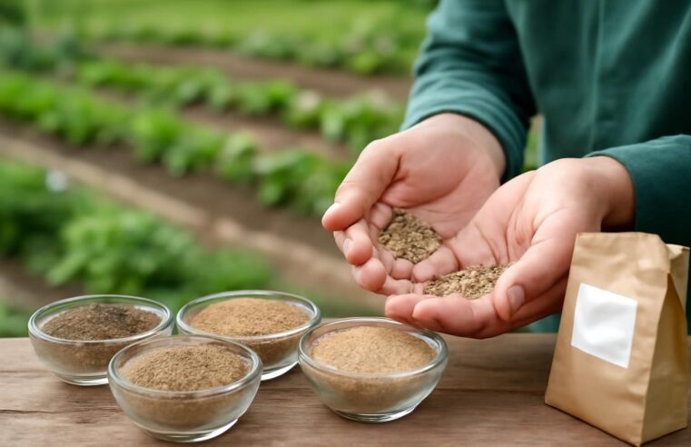 découvrez comment choisir les meilleures graines de gazon et les conserver efficacement pour un jardin verdoyant toute l'année.