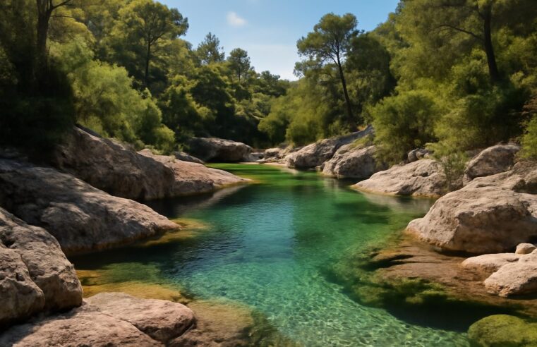 découvrez la beauté spectaculaire des piscines naturelles de zoza en corse à travers ces photos éblouissantes qui capturent la pureté et la sérénité de ce joyau naturel.