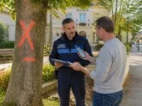 découvrez comment faire couper un arbre en toute légalité avec l'aide de la mairie. guide pratique pour une procédure efficace et conforme aux réglementations en vigueur.